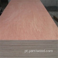 BINTANGAR CELIEIRO COMERCIAL Plywood atacado